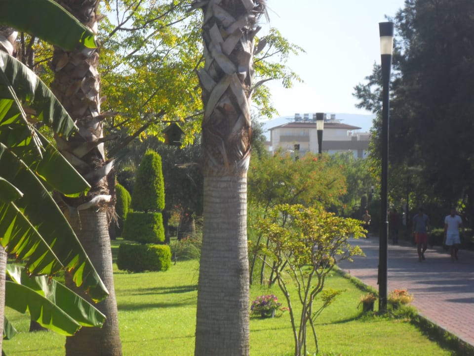 Alles gepflegt Sunis Elita Beach Resort & Spa