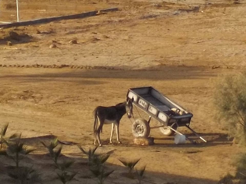 Hauswecker Three Corners Equinox Beach Resort