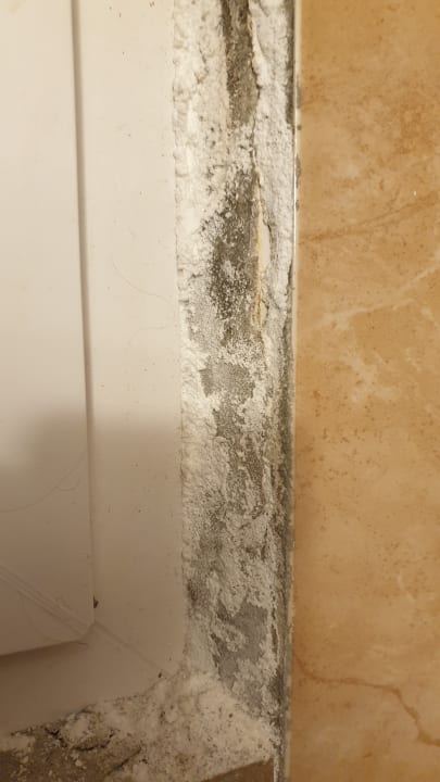 Zimmer Side Miami Beach