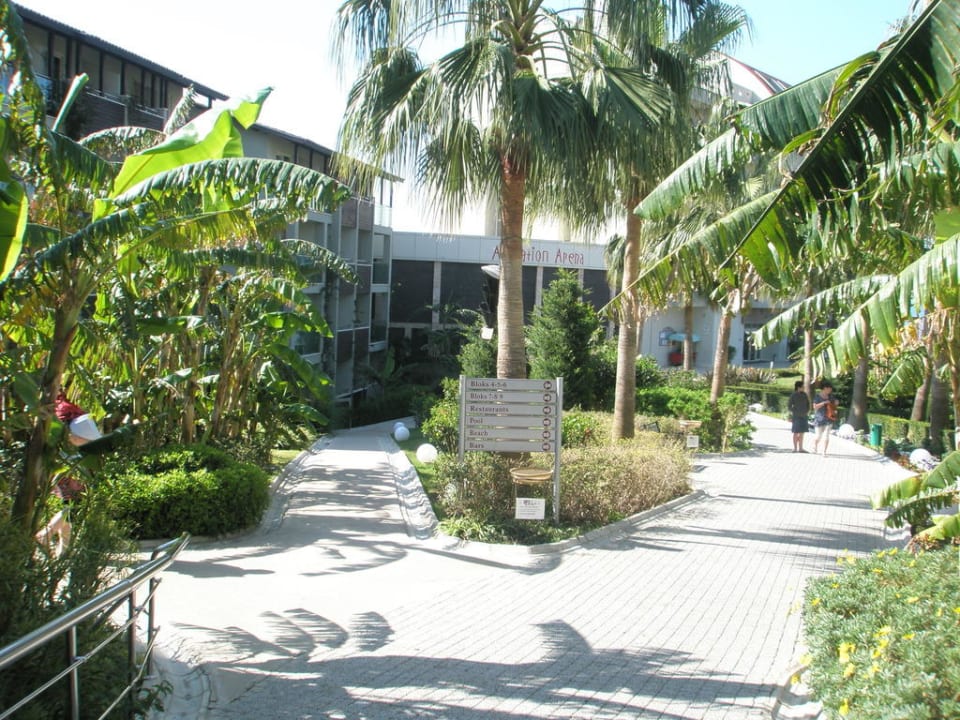 Viele Gänge Sealife Buket Resort & Beach