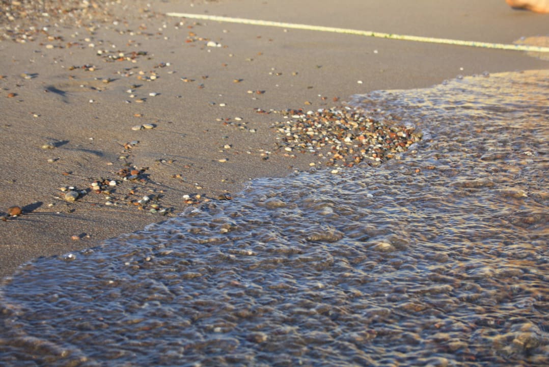 Etwas kieselig Hotel Gardenia Beach