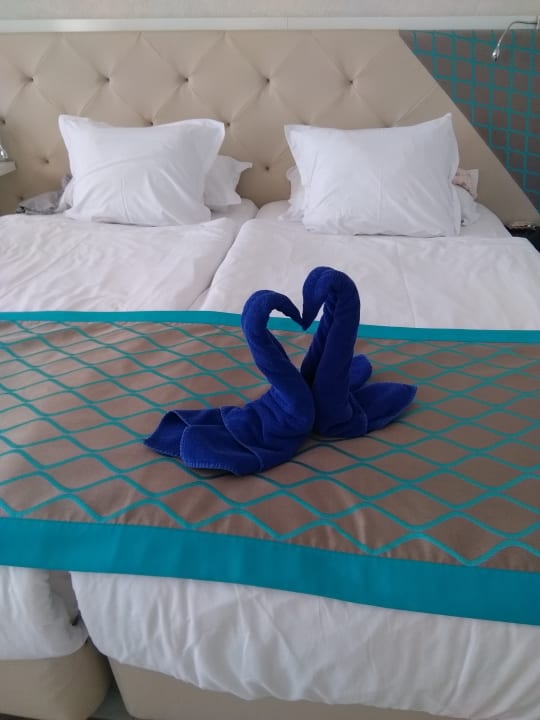 Zimmer Sentido Marea