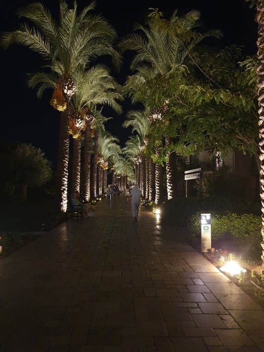 Außenansicht TUI BLUE Palm Garden