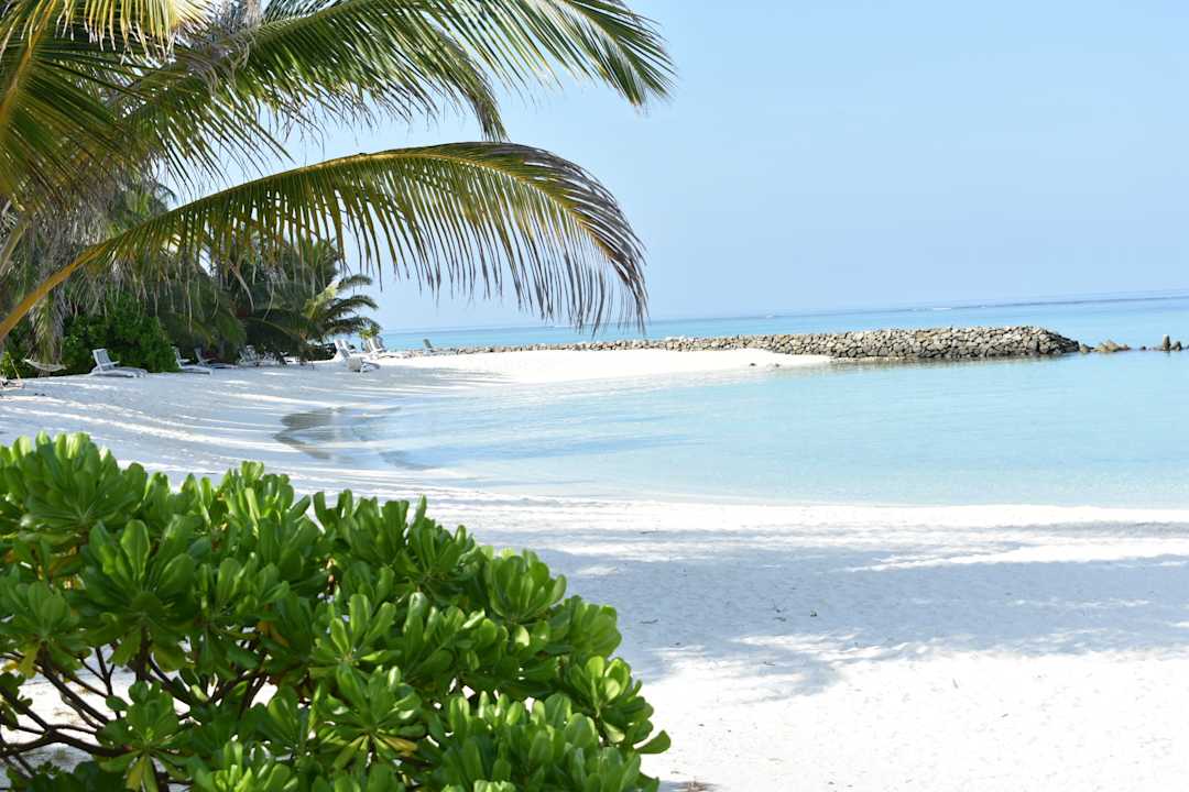 Strand Summer Island Maldives