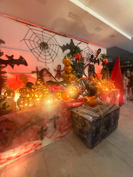 Gastro Seashell Vega