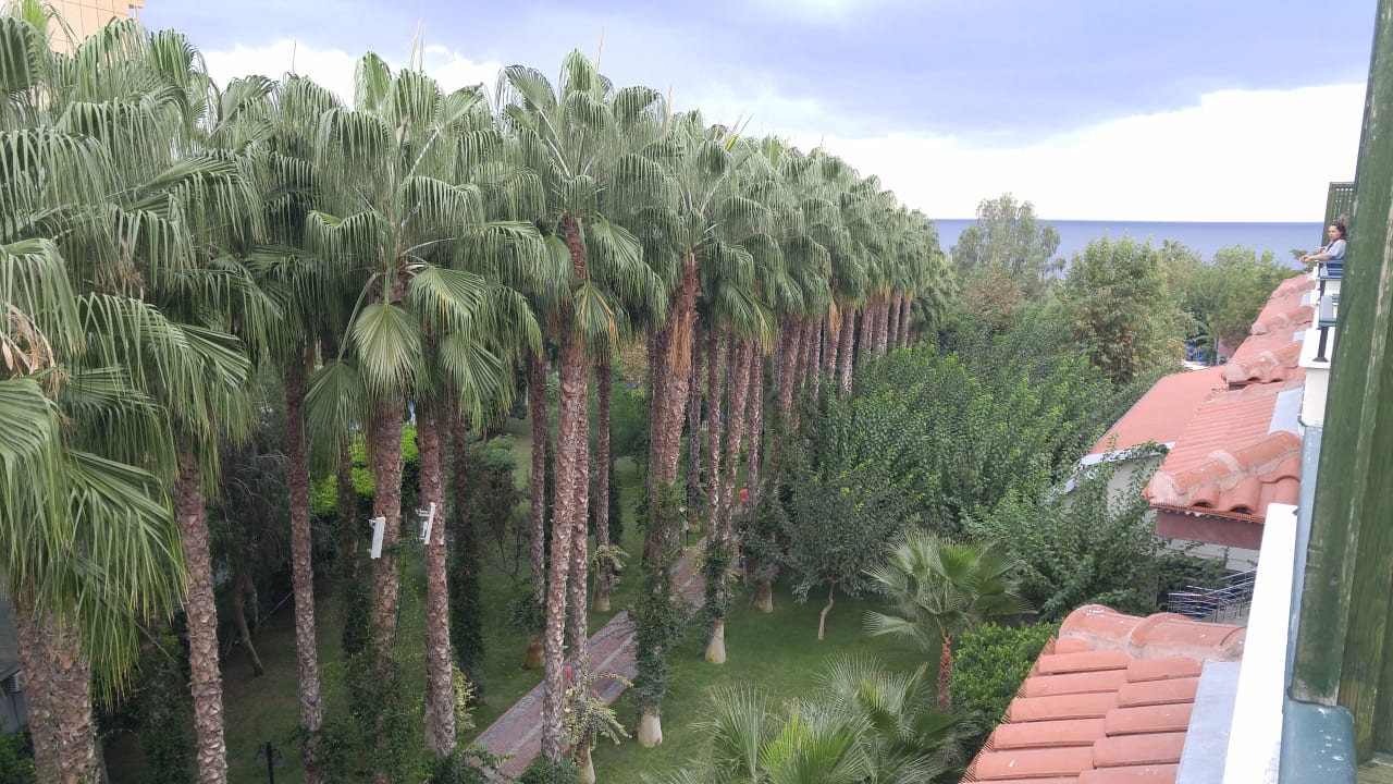 Ausblick Hotel Gardenia Beach