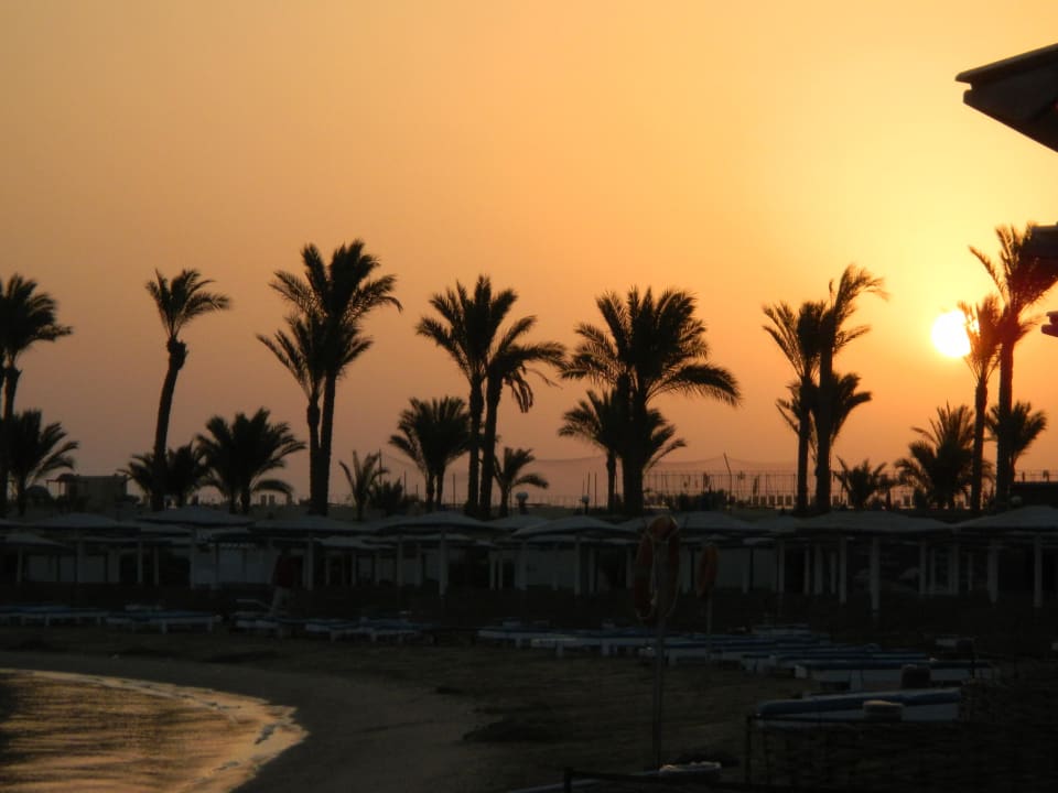 Sonnenaufgang Pickalbatros Dana Beach Resort - Hurghada