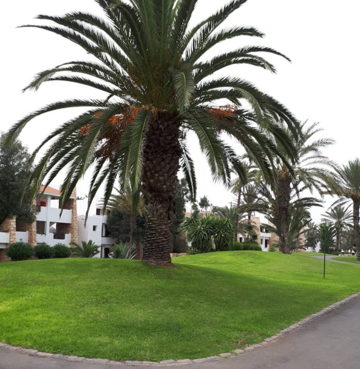 Gartenanlage Hotel Riu Tikida Dunas