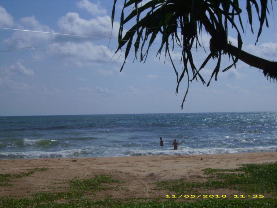 Beach Hotel Club Palm Garden