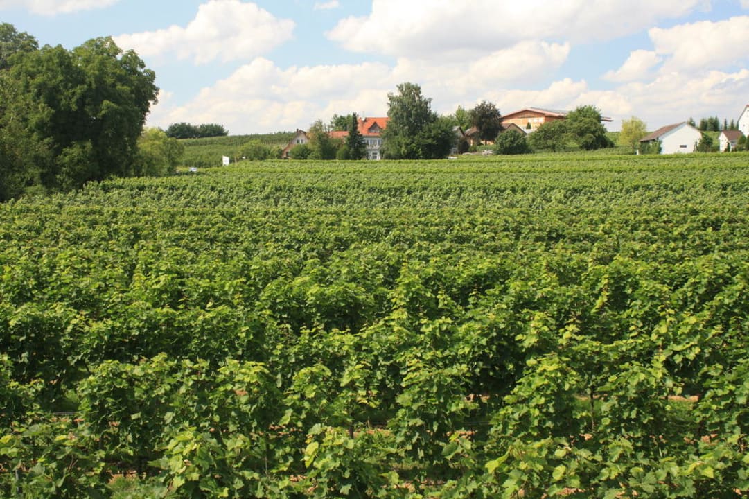 Ausblick Gästehaus Kraft