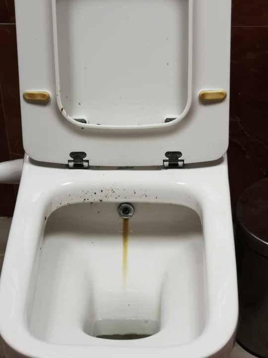 Zimmer Le Jardin Aqua Park Resort