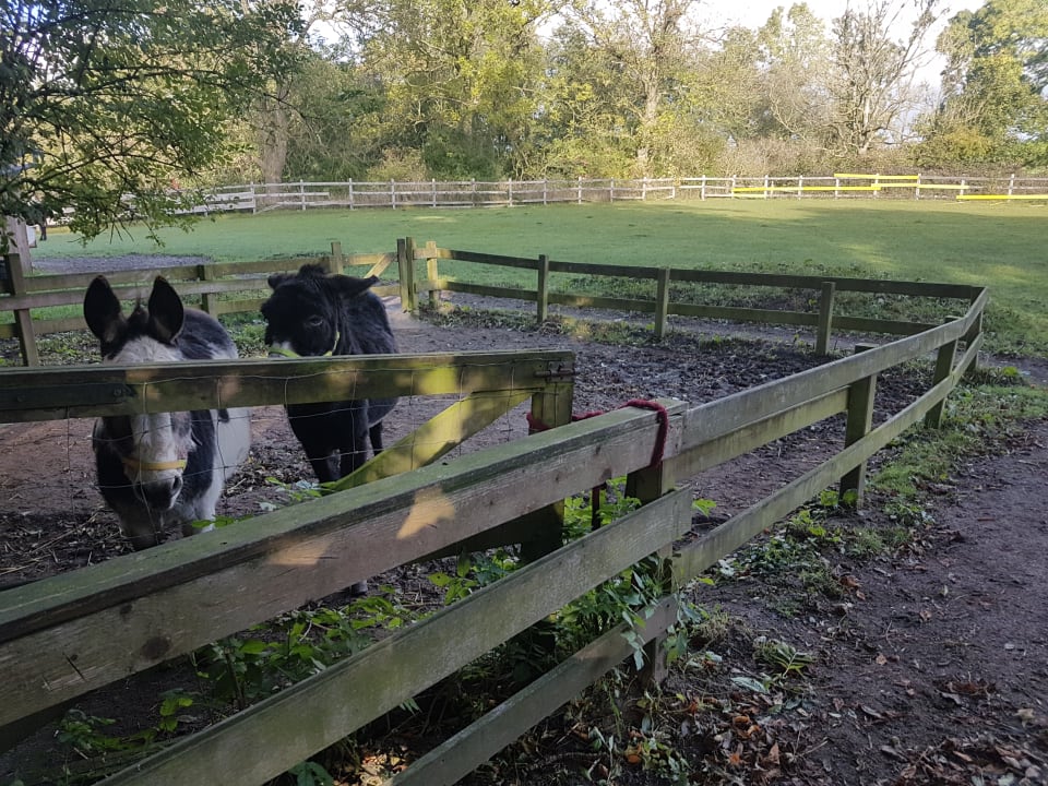 Gartenanlage Familienferienhof Taarstedt, Eggert