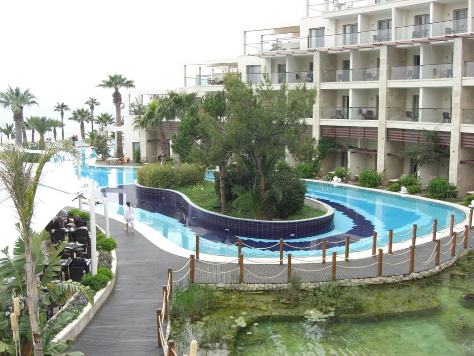 Teil des Pools und Garten Paloma Pasha