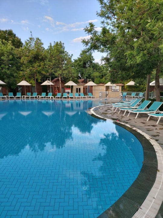 Pool Can Garden Beach