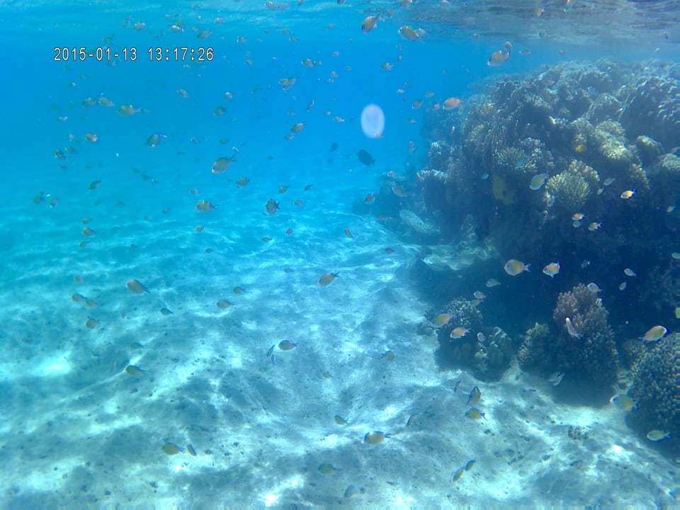 Sport & Freizeit Shams Alam Beach Resort