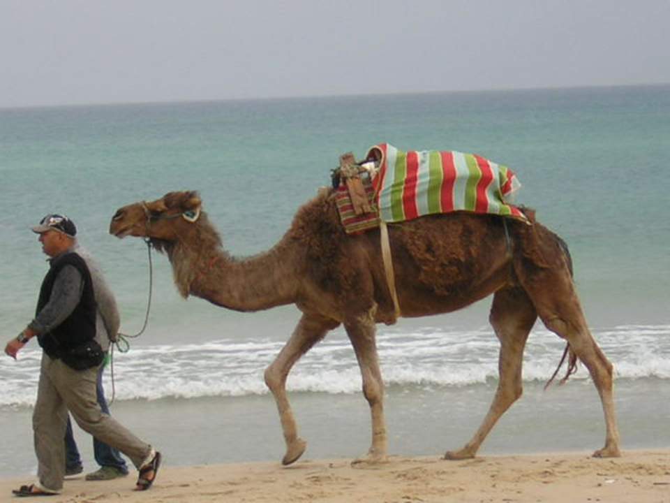 Am Strand Hotel Nesrine