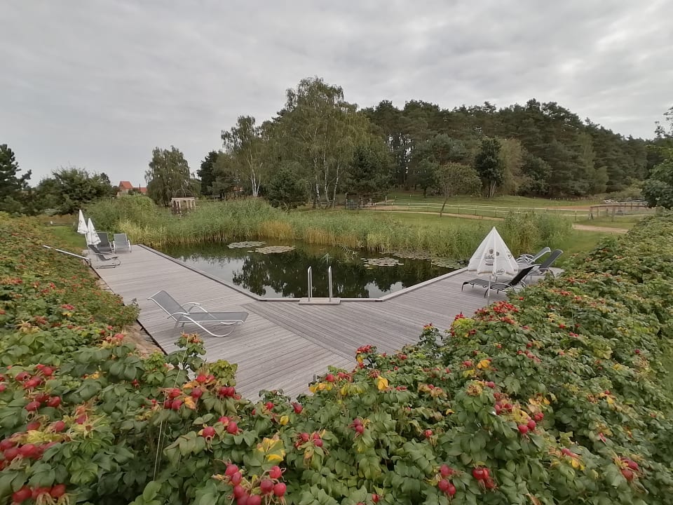 Gartenanlage Landhotel Borstel-Treff