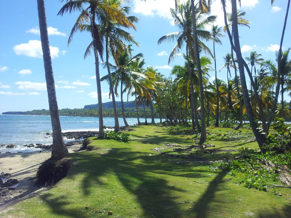 Gartenanlage Wyndham Alltra Samana