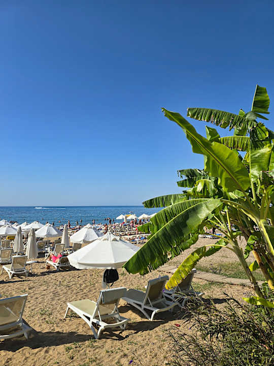 Strand Merve Sun Hotel & Spa