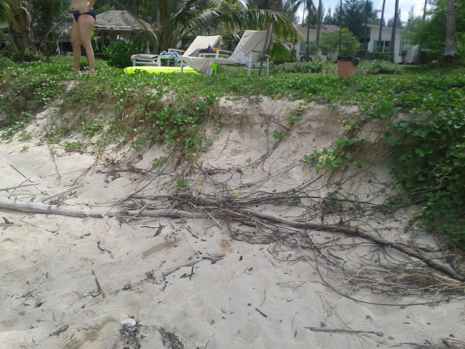"grüner"Aufgang zum Hotel Kantary Beach Hotel - KHAO LAK