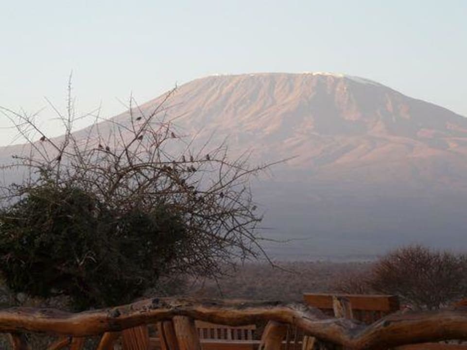 Blick von der Terrasse auf den Kili Satao Elerai Camp