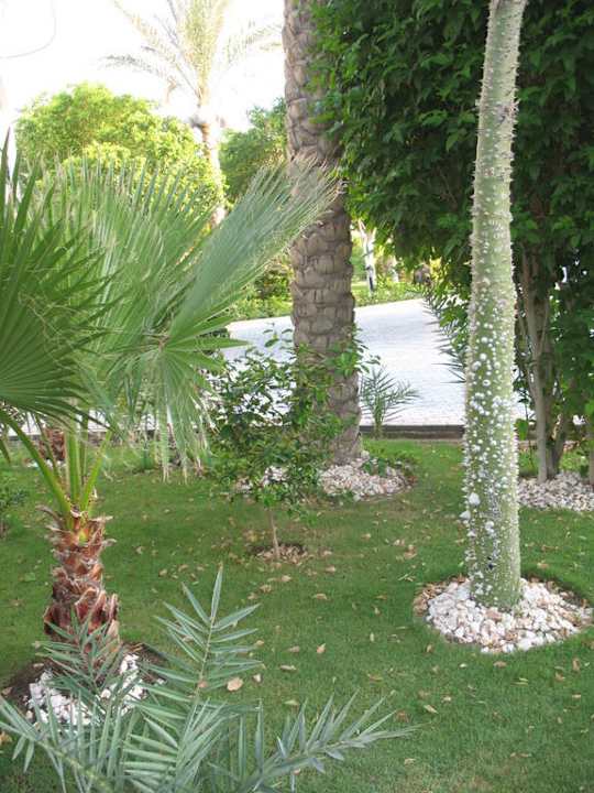 Ogród Sultan Gardens Resort