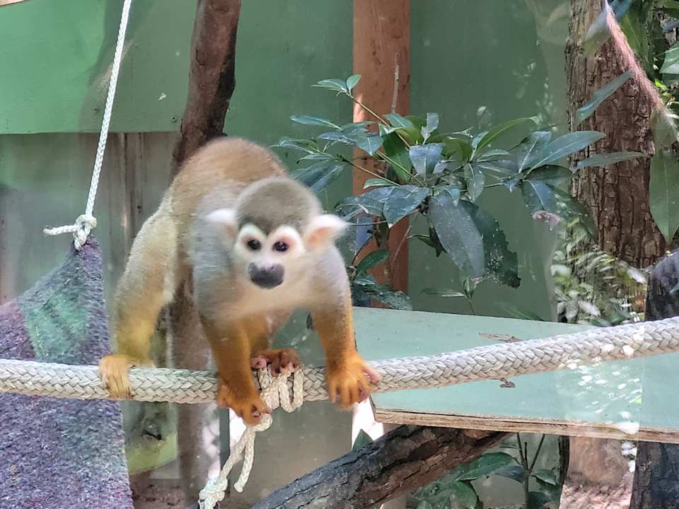 Sonstiges Viva Azteca by Wyndham - All Inclusive Resort