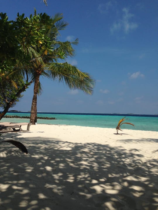 Blick von der beachvilla ausgehend Kuredu Island Resort & Spa