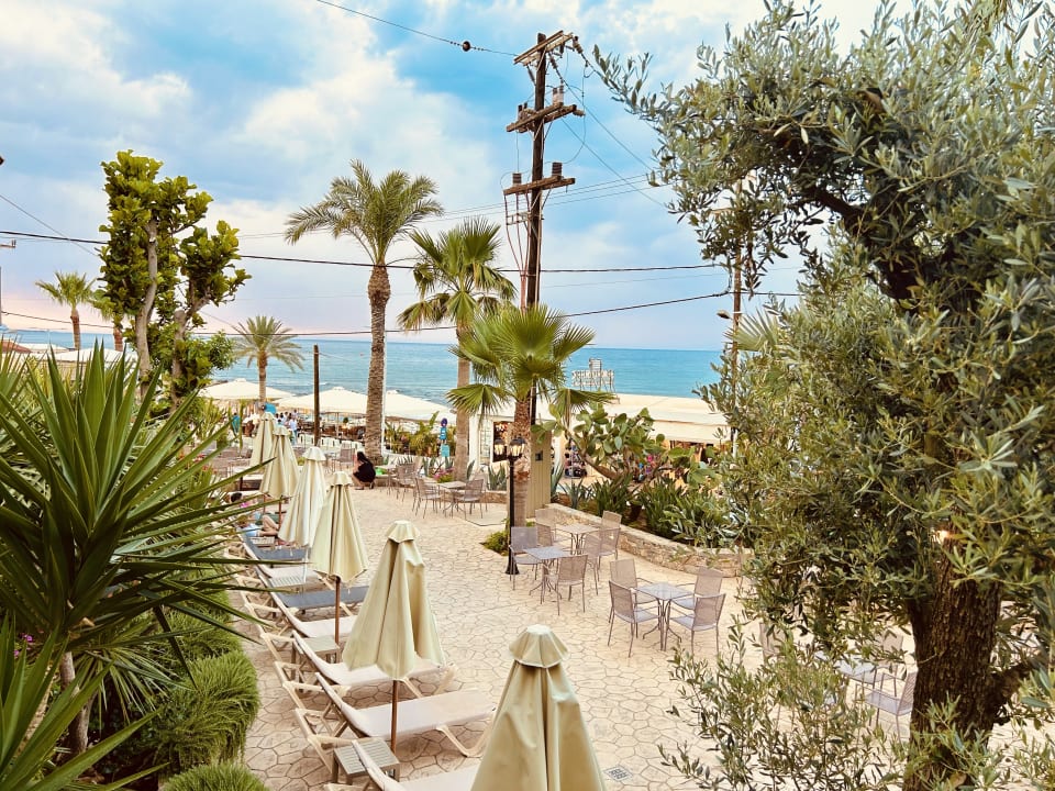 Sport & Freizeit Cactus Beach