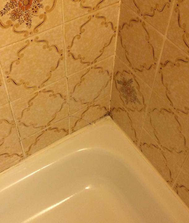 Noch mehr Schimmel im Bad Hotel Tunzendorferwirt