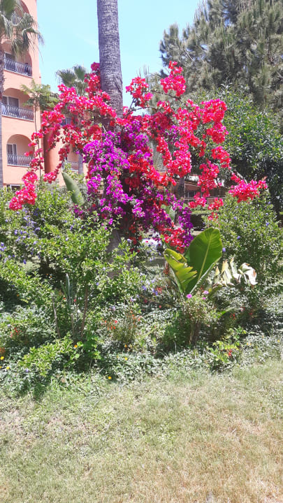 Gartenanlage Club Turtas Beach Hotel