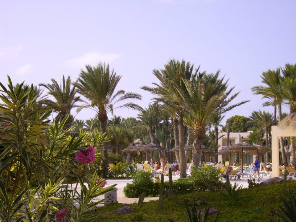 Gartenanlage und Poolanlage Zita Beach Resort