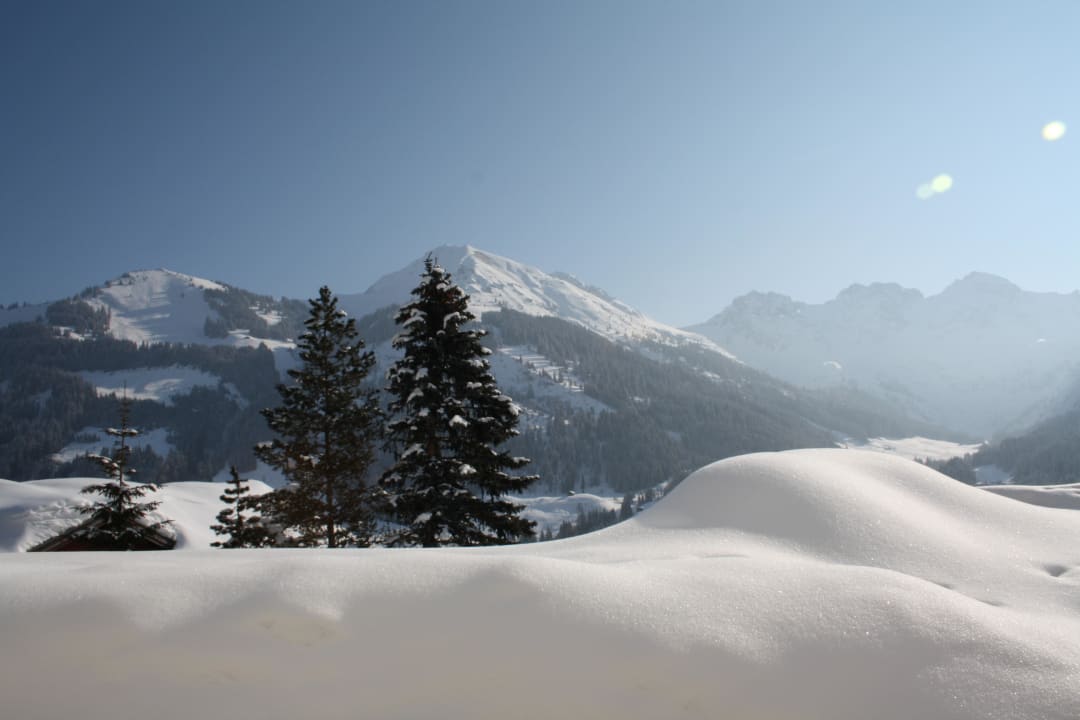 Blick vom Haus Gästehaus Sonnenhof
