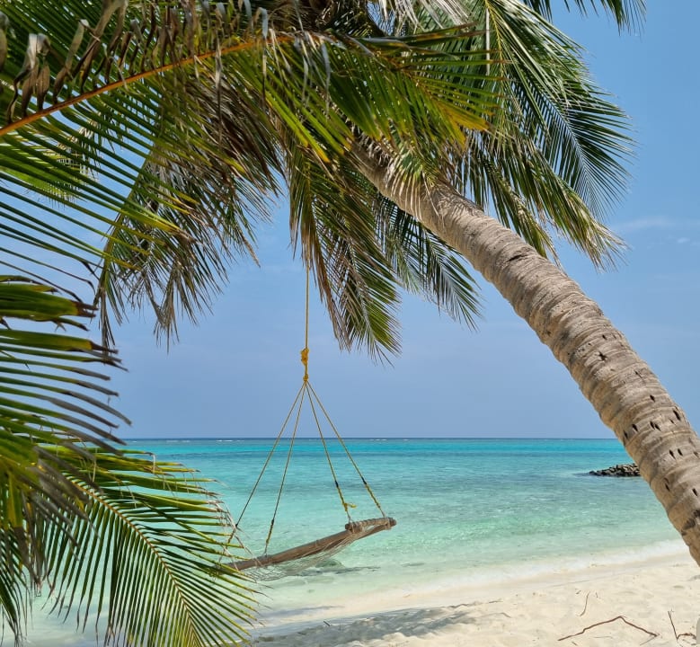 Strand Summer Island Maldives