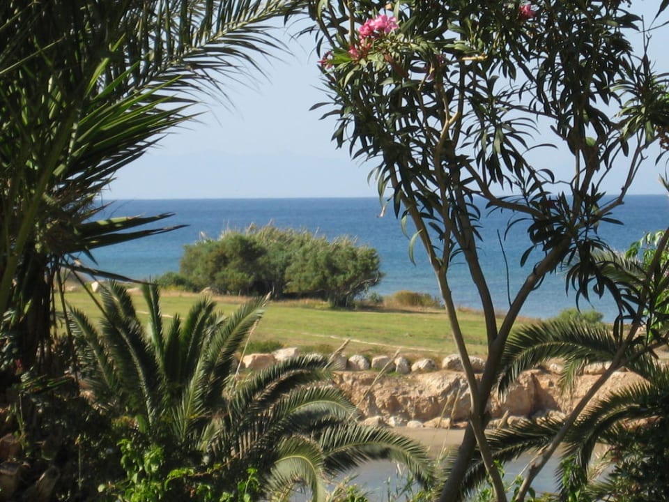 Im Garten Crystal Springs Beach Hotel