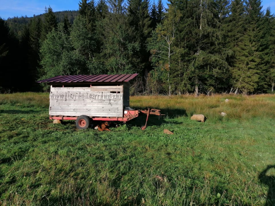 Außenansicht Farnbauernhof