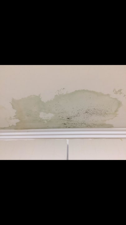 Schöne Landschaft Starlight Resort Hotel