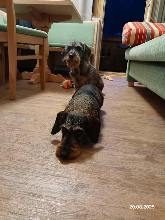 Zimmer Hotel Appartmenthaus Schützenhof - Schied