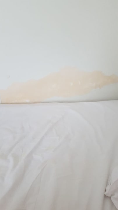 Zimmer Side Miami Beach