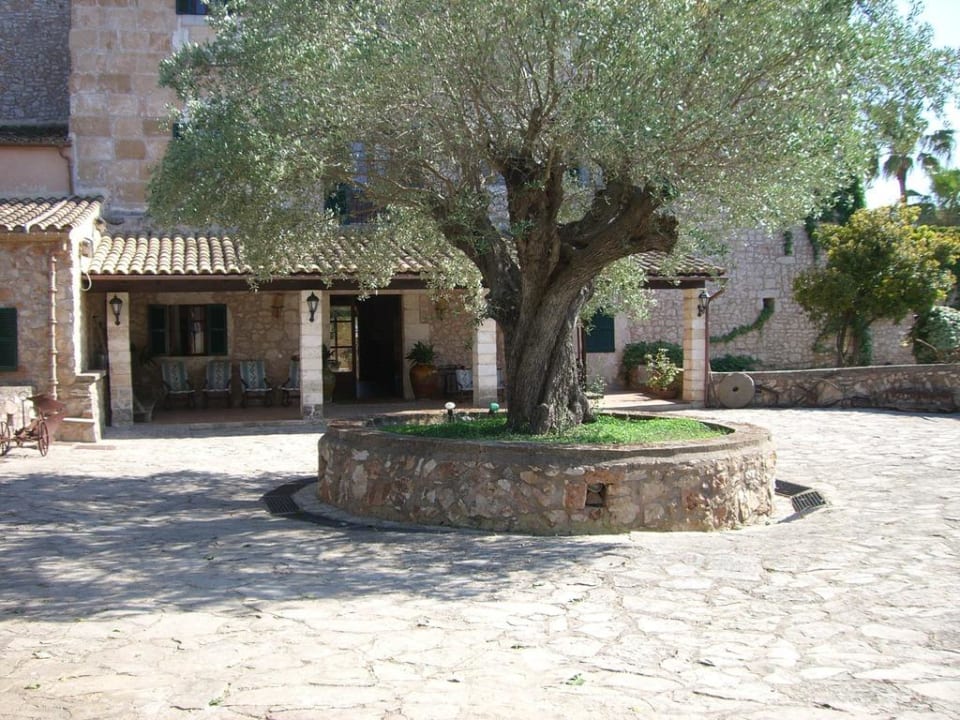 Hoteleingang Hotel Son Trobat Wellness & Spa