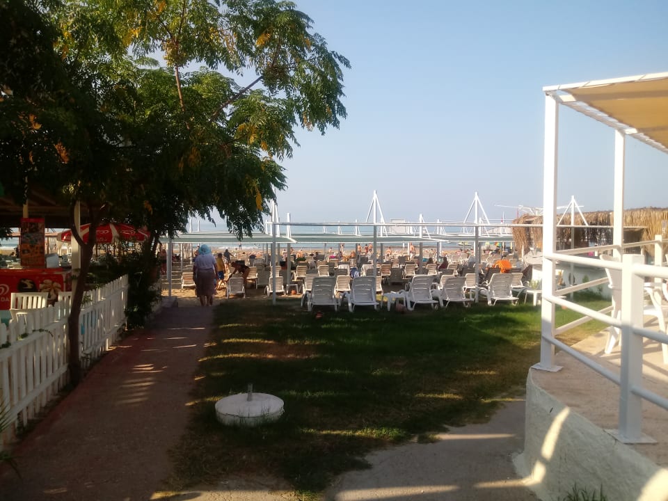 Strand Side Alegria Hotel & Spa - Adults only +16