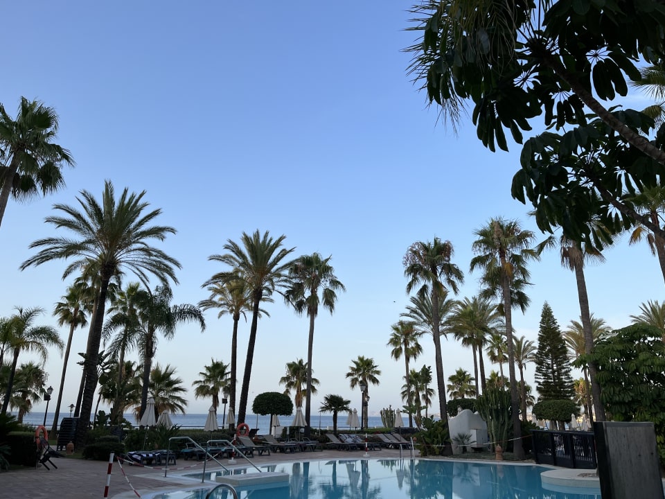 Pool H10 Estepona Palace