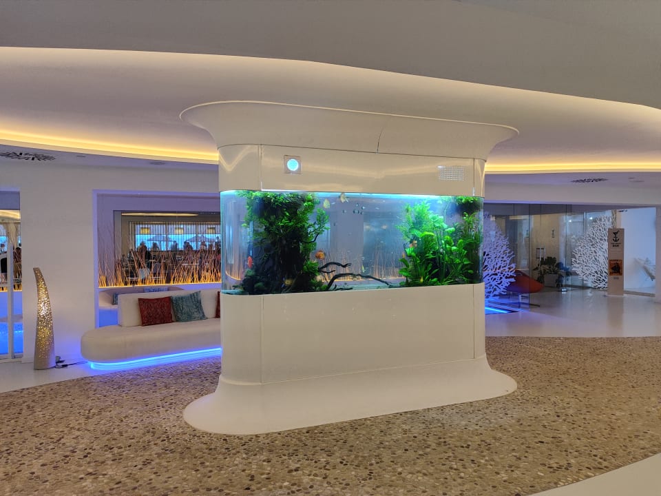 Lobby The Sea Hotel by Grupotel - Adults only