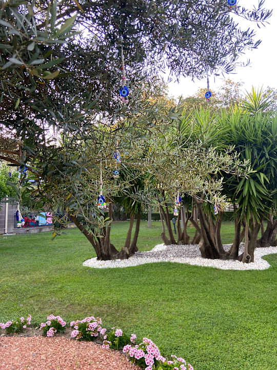 Sonstiges TUI BLUE Palm Garden