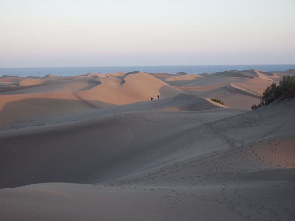 UNESCO Weltnaturerbe Dunas de Maspalomas Hotel Riu Palace Maspalomas Adults Only