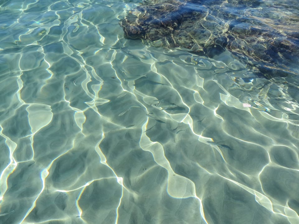 Klares und sauberes Wasser Be Live Marivent - Adults only