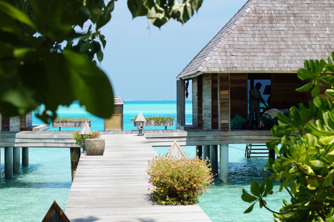Bungalow Gangehi Island Resort
