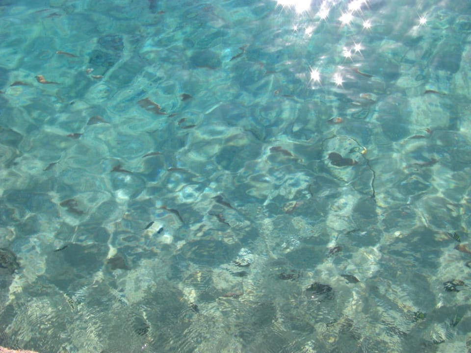 Direkt am Strand Eagles Paradise Abu Soma