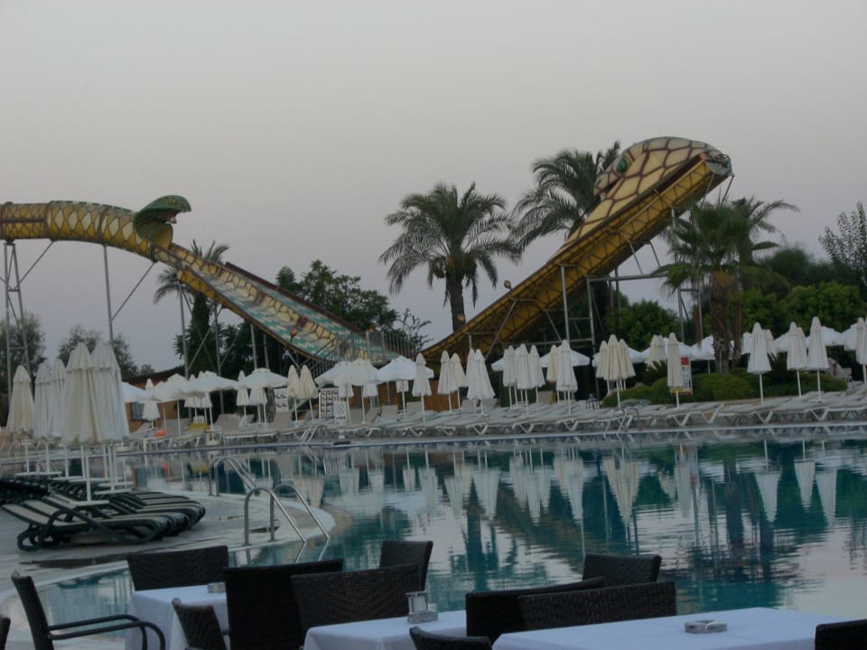 Snake Slider Crystal Paraiso Aqua Collection