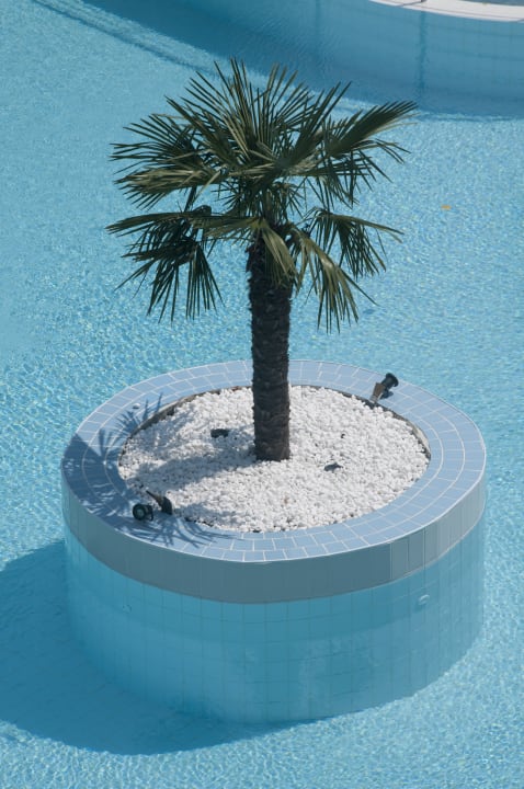 Pool Perla Royal Hotel